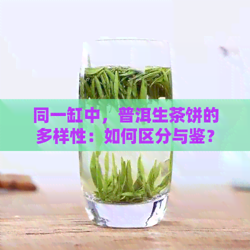 同一缸中，普洱生茶饼的多样性：如何区分与鉴？