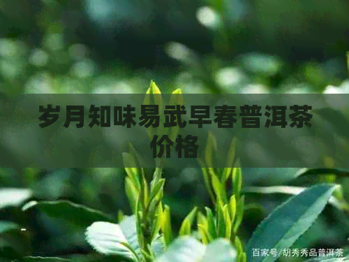 岁月知味易武早春普洱茶价格