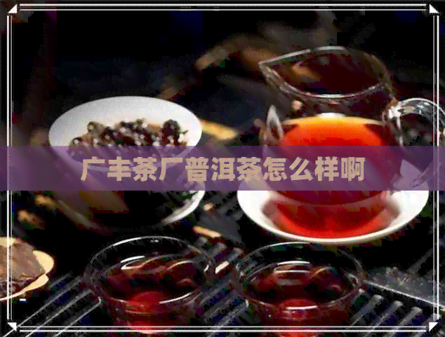 广丰茶厂普洱茶怎么样啊