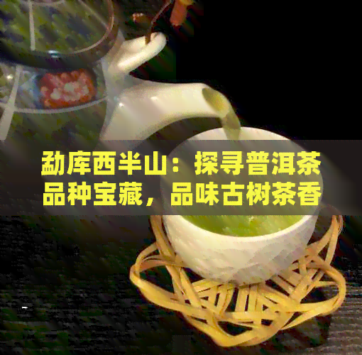 勐库西半山：探寻普洱茶品种宝藏，品味古树茶香