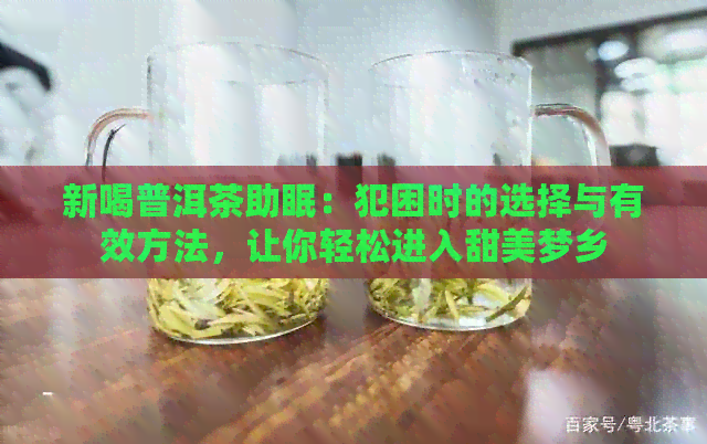 新喝普洱茶助眠：犯困时的选择与有效方法，让你轻松进入甜美梦乡