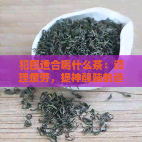 犯困适合喝什么茶：调理疲劳，提神醒脑的选择