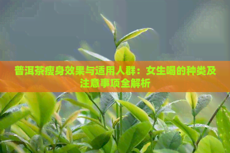 普洱茶瘦身效果与适用人群：女生喝的种类及注意事项全解析