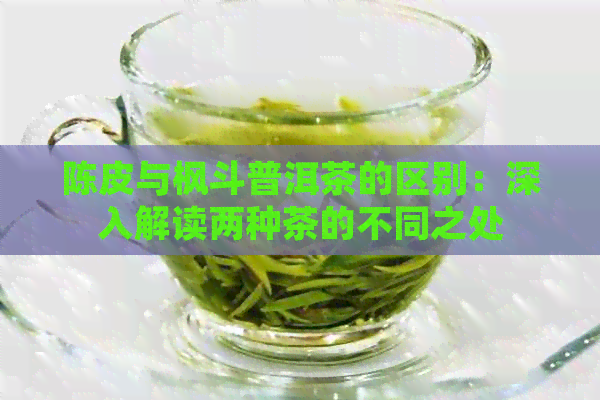 陈皮与枫斗普洱茶的区别：深入解读两种茶的不同之处