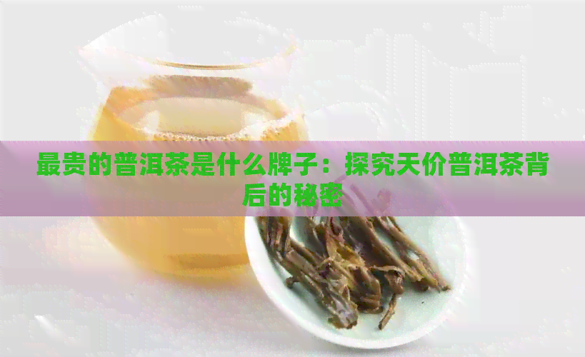 最贵的普洱茶是什么牌子：探究天价普洱茶背后的秘密