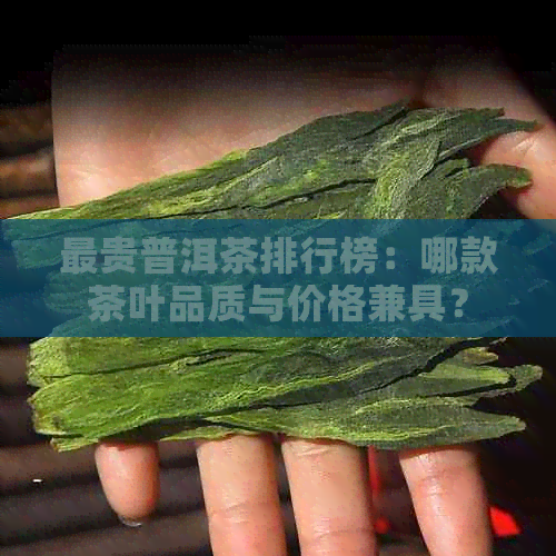 最贵普洱茶排行榜：哪款茶叶品质与价格兼具？