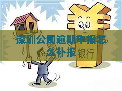 深圳公司逾期申报怎么补报