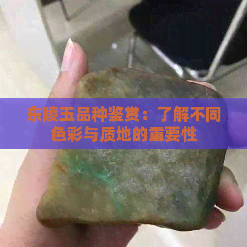 东陵玉品种鉴赏：了解不同色彩与质地的重要性