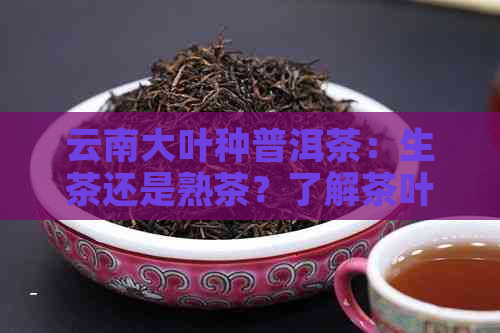 云南大叶种普洱茶：生茶还是熟茶？了解茶叶种类与发酵程度的关键区别