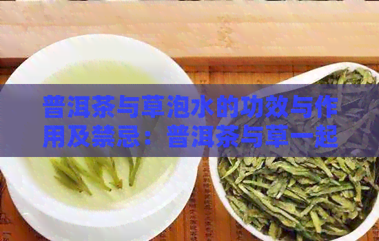 普洱茶与草泡水的功效与作用及禁忌：普洱茶与草一起喝有什么功效？