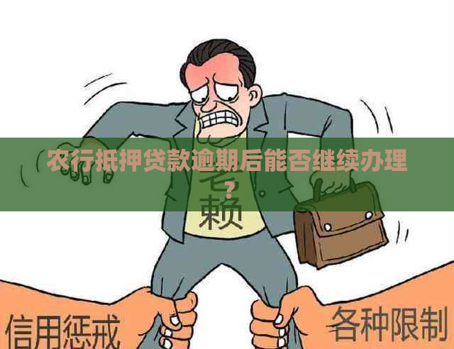 农行抵押贷款逾期后能否继续办理？