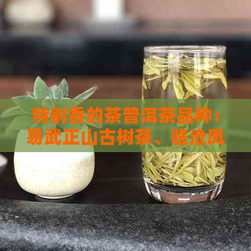 特别香的茶普洱茶品种：易武正山古树茶、临沧凤庆大叶种、勐海老班章等。