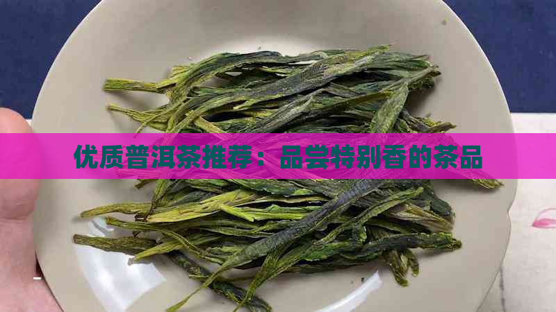 优质普洱茶推荐：品尝特别香的茶品