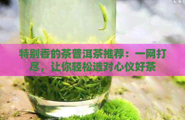 特别香的茶普洱茶推荐：一网打尽，让你轻松选对心仪好茶