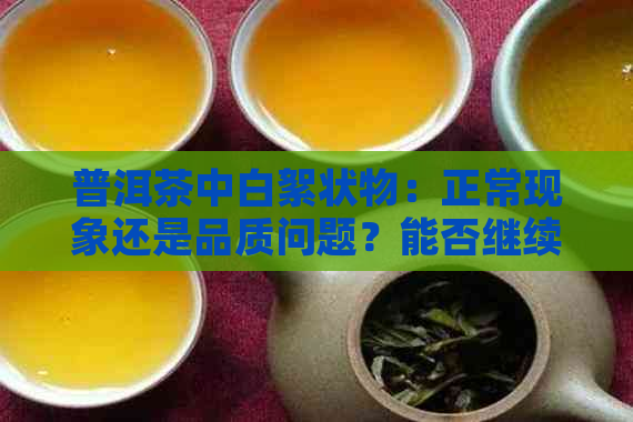 普洱茶中白絮状物：正常现象还是品质问题？能否继续饮用？