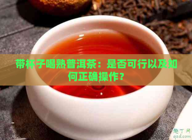 带杯子喝熟普洱茶：是否可行以及如何正确操作？