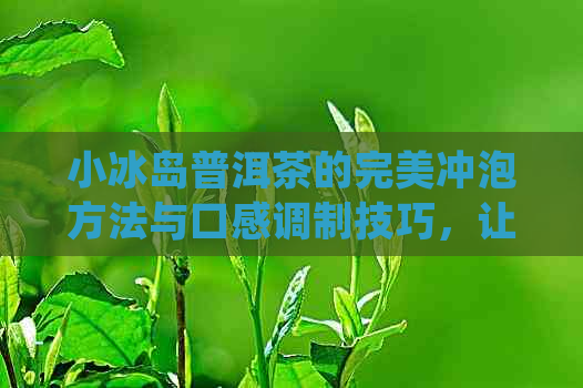 小冰岛普洱茶的完美冲泡方法与口感调制技巧，让您品尝到口感