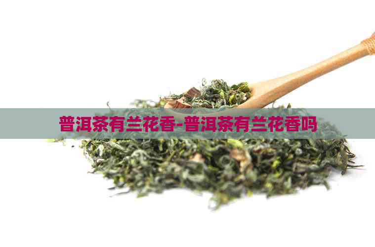 普洱茶有兰花香-普洱茶有兰花香吗