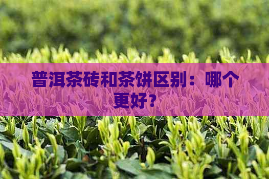 普洱茶砖和茶饼区别：哪个更好？