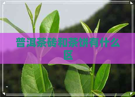 普洱茶砖和茶饼有什么区