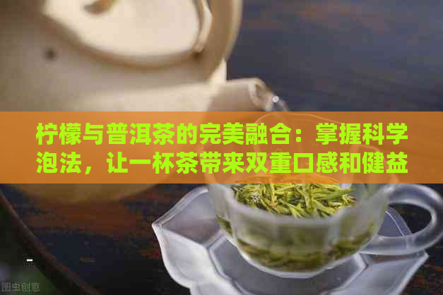 柠檬与普洱茶的完美融合：掌握科学泡法，让一杯茶带来双重口感和健益处