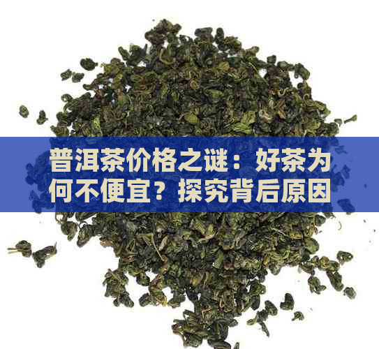 普洱茶价格之谜：好茶为何不便宜？探究背后原因与挑选方法