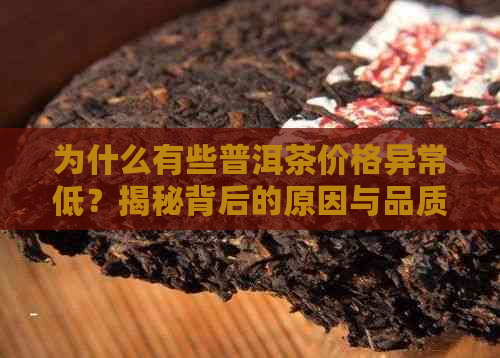 为什么有些普洱茶价格异常低？揭秘背后的原因与品质