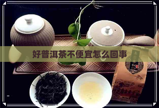 好普洱茶不便宜怎么回事