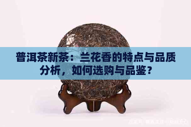 普洱茶新茶：兰花香的特点与品质分析，如何选购与品鉴？