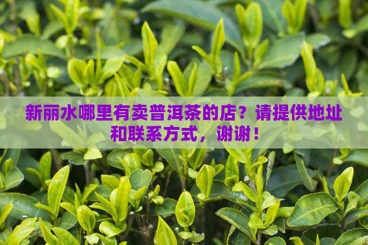 新丽水哪里有卖普洱茶的店？请提供地址和联系方式，谢谢！