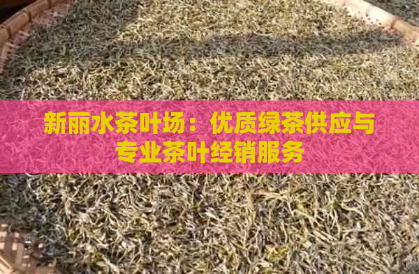 新丽水茶叶场：优质绿茶供应与专业茶叶经销服务