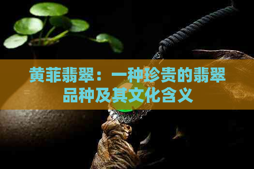 黄菲翡翠：一种珍贵的翡翠品种及其文化含义