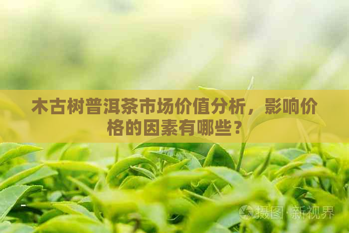 木古树普洱茶市场价值分析，影响价格的因素有哪些？