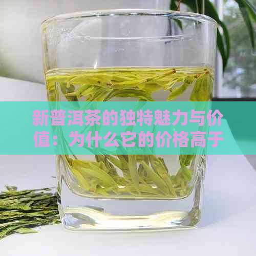 新普洱茶的独特魅力与价值：为什么它的价格高于白菜？