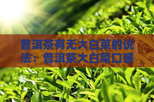 普洱茶有无大白菜的说法：普洱茶大白菜口感、含义及由来。