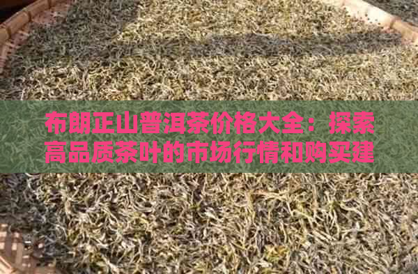 布朗正山普洱茶价格大全：探索高品质茶叶的市场行情和购买建议