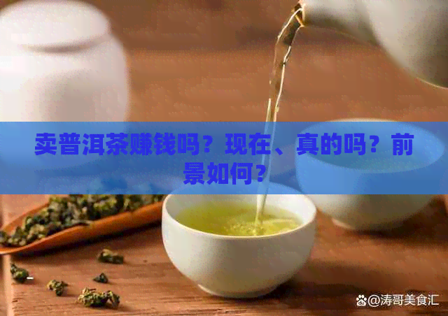 卖普洱茶赚钱吗？现在、真的吗？前景如何？