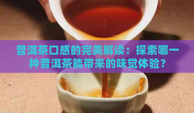 普洱茶口感的完美解读：探索哪一种普洱茶能带来的味觉体验？