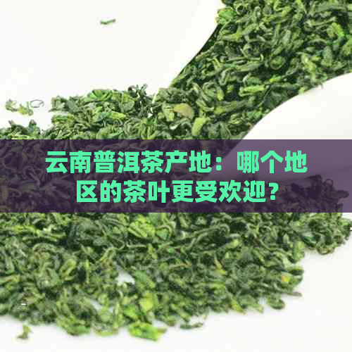 云南普洱茶产地：哪个地区的茶叶更受欢迎？