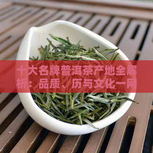 十大名牌普洱茶产地全解析：品质、历与文化一网打尽