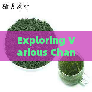 Exploring Various Channels to Sell Pu'er Tea: An English Guide