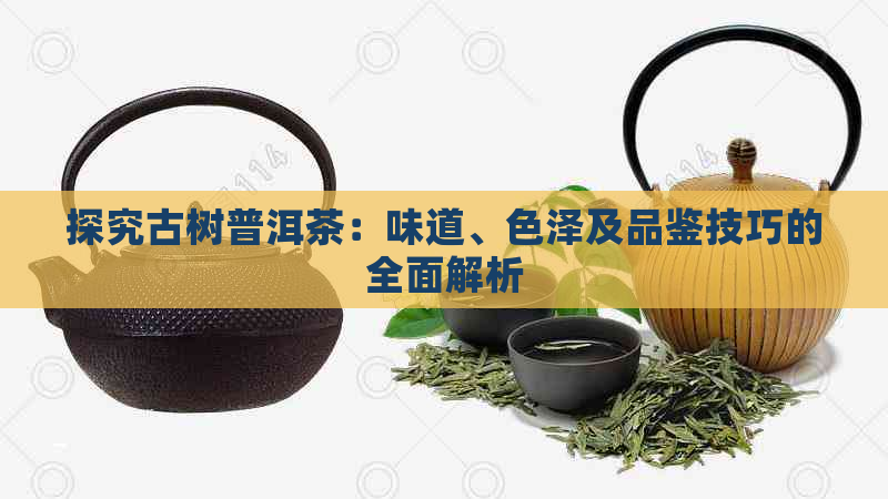 探究古树普洱茶：味道、色泽及品鉴技巧的全面解析