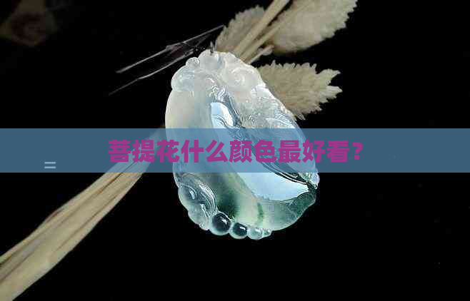 菩提花什么颜色更好看？