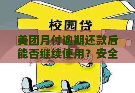 美团月付逾期还款后能否继续使用？安全吗？