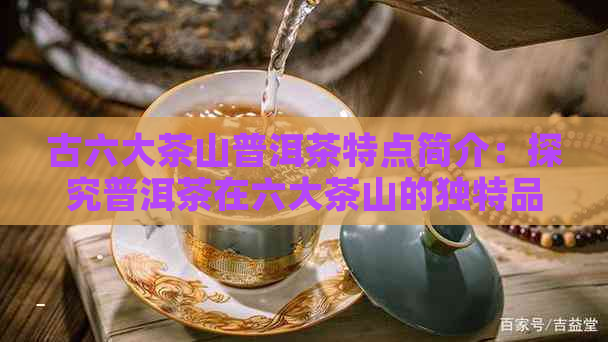 古六大茶山普洱茶特点简介：探究普洱茶在六大茶山的独特品质与风味。