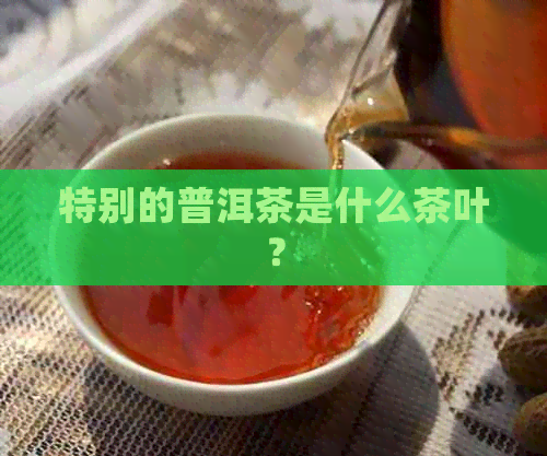 特别的普洱茶是什么茶叶？