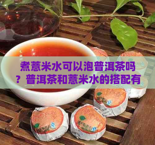 煮薏米水可以泡普洱茶吗？普洱茶和薏米水的搭配有什么好处？