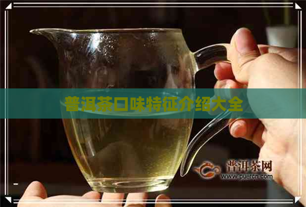 普洱茶口味特征介绍大全