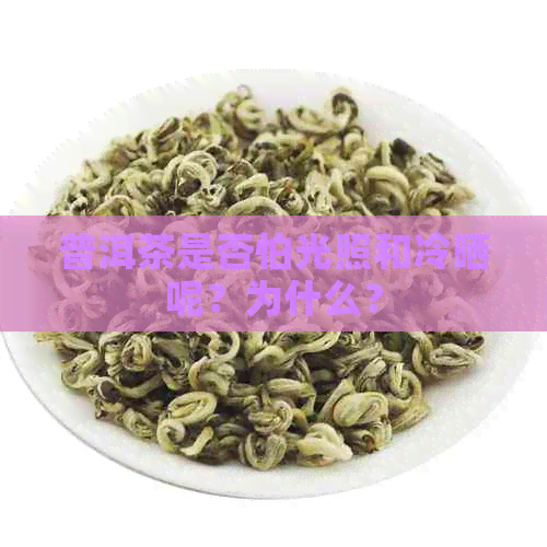 普洱茶是否怕光照和冷晒呢？为什么？