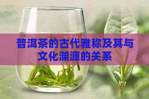 普洱茶的古代雅称及其与文化渊源的关系